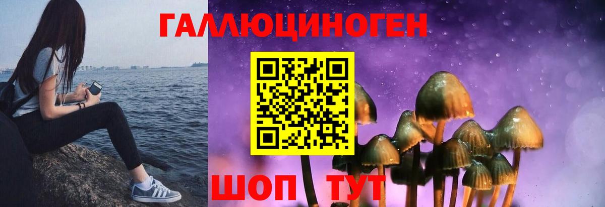 Наро-Фоминск  Галлюциногенные грибы Psilocybine cubensis  Галлюциногенные грибы мухоморы  что такое   Вход с VPN 